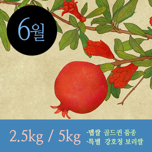 [정미구독 2017年 6月호] 골드퀸 품종 멥쌀+강호청 보리쌀 [무료배송]