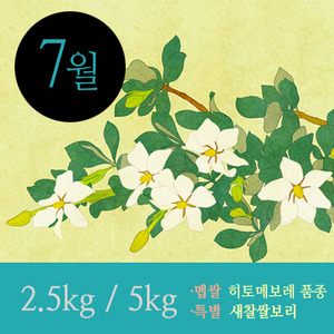 [정미구독 2017年 7月호] 히토메보레 품종 멥쌀+새찰쌀보리 [무료배송]